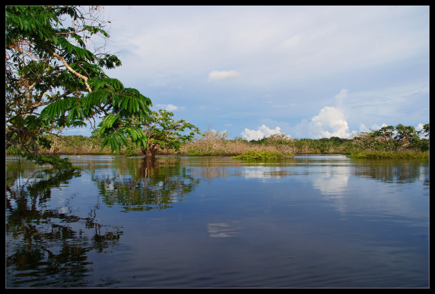 Cuyabeno Laguna Grande