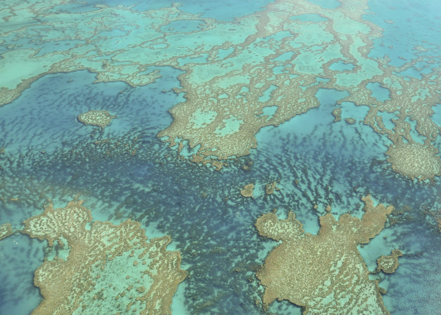 Het geweldige great barrier reef