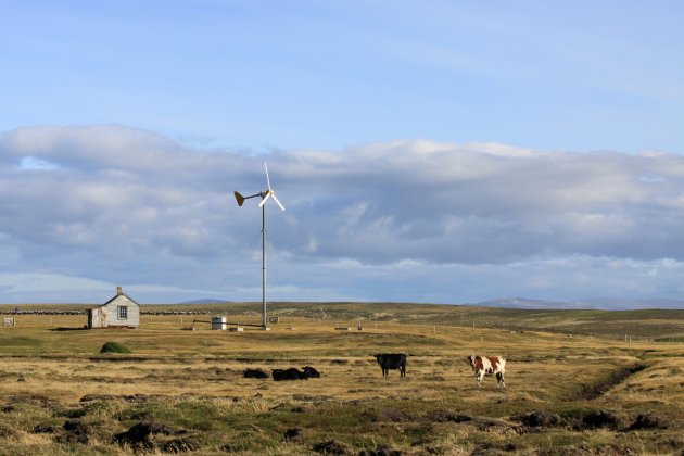 Eenzaamheid op de Falkland