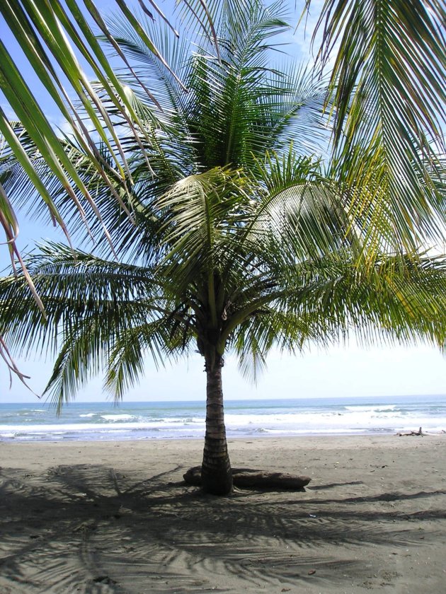 tijdens een rondreis door Costa Rica, kwamen we dit verlaten maar o zo mooie strand tegen