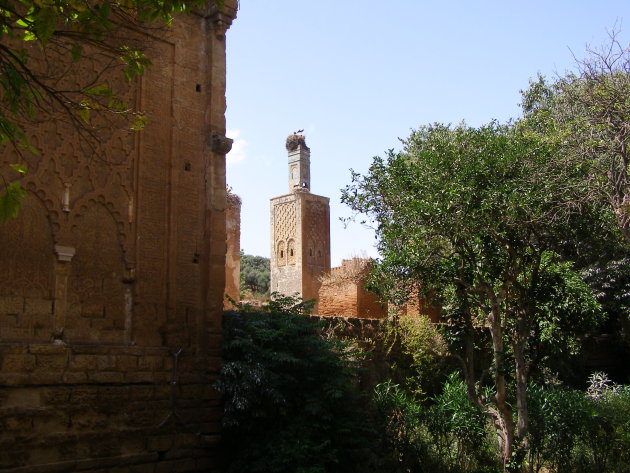 Chellah - Rabat