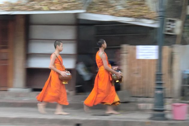 Jonge monniken in Luang Prabang, Laos