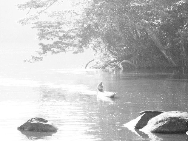 Isadou het begin van de Surinaamse jungle