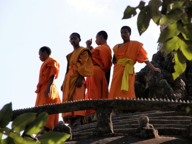 Jonge boeddisten op de uitkijk in Boeddah park