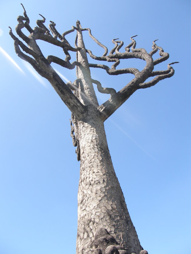 Stenen boom in het boeddah park
