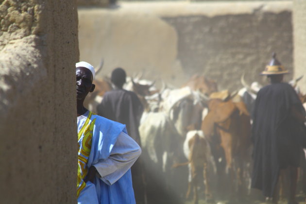 Kudde trekt door Akka (Mali)