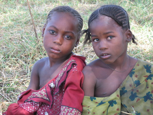 Verlegen meiden aan het Tsjaad meer