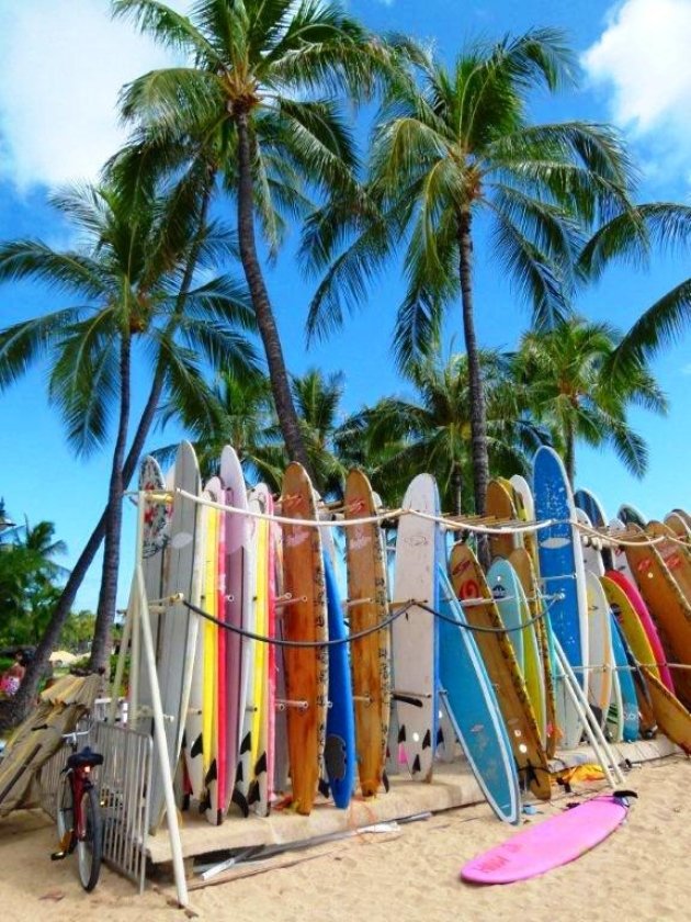 Surfplanken bij Waikiki Beach 