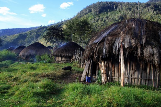 Papua village