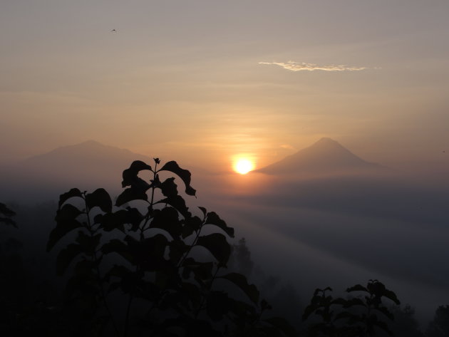 Zonsopgang met uitzicht op de Merapi vulkaan, Java