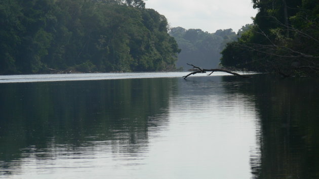 foto natuur Tapahony rivier jungle Suriname