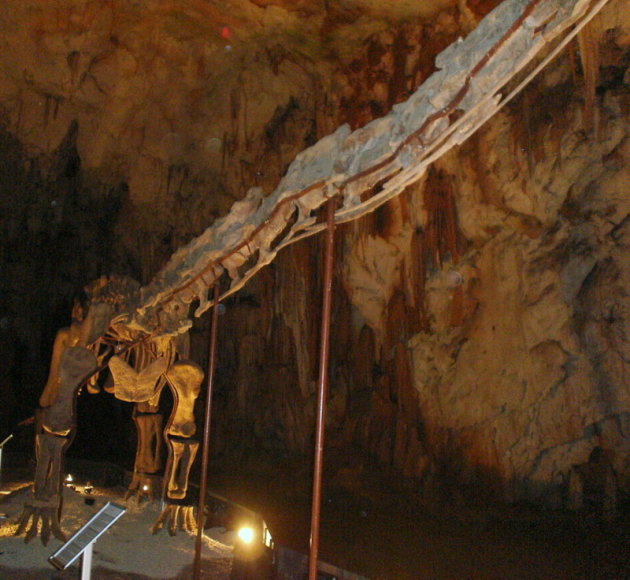 Tentoonstelling van Mamenchisaurus grotten van Postonja