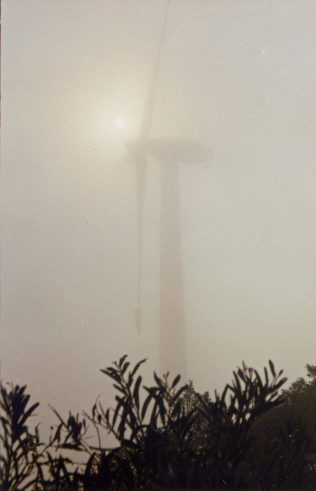 Windmolen in de mist