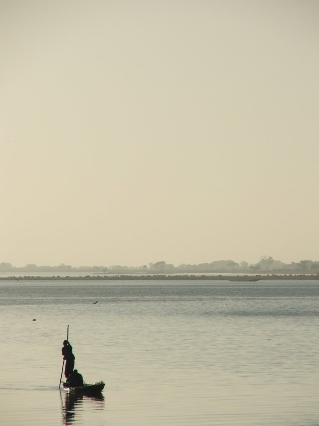 Eenzame visser