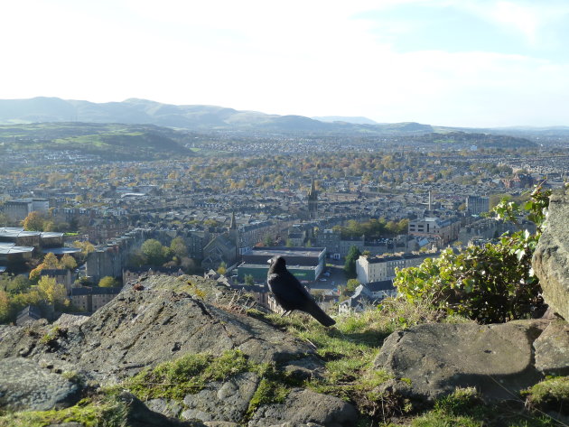 Uitzicht (samen met vogel) over Edinburgh