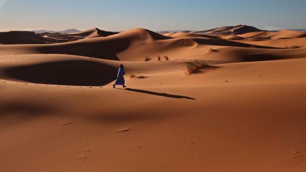 Kuifje in de Sahara