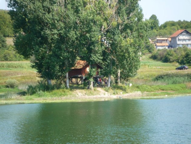 Meertje in Slovenie met bomenpartij aan de overkant