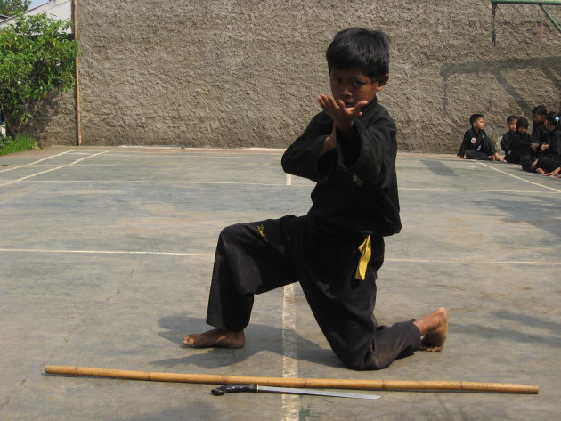 Indonesische vechtkunst (pencak silat)