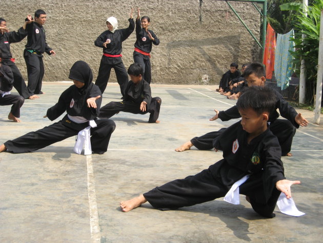 Indonesische vechtkunst (pencak silat)