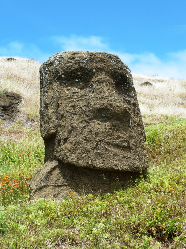 Moai beeld in de Rano Raraku