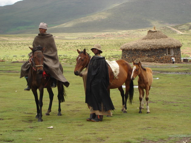 Het traditionele vervoersmiddel in Lesotho