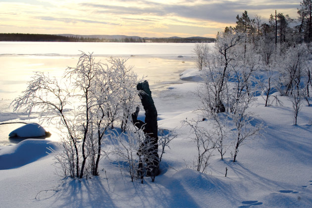 Winters Lapland