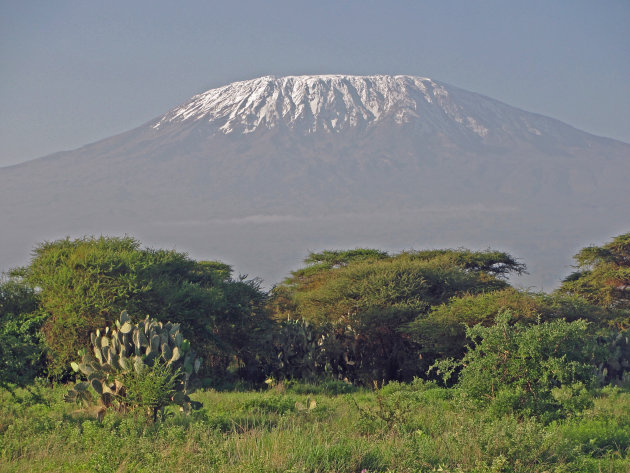 Zicht op de Kilimanjaro