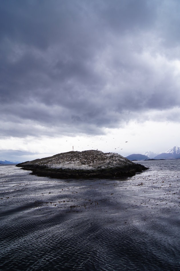 Eiland met zeeleeuwen en aalscholvers in het Beagle Kanaal