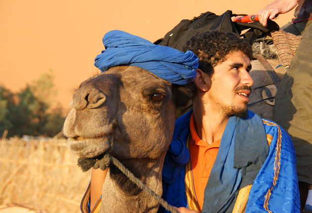 Tuareg Camel