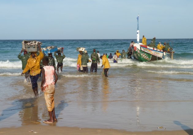 Hardwerkende vissers op het strand in Kayar