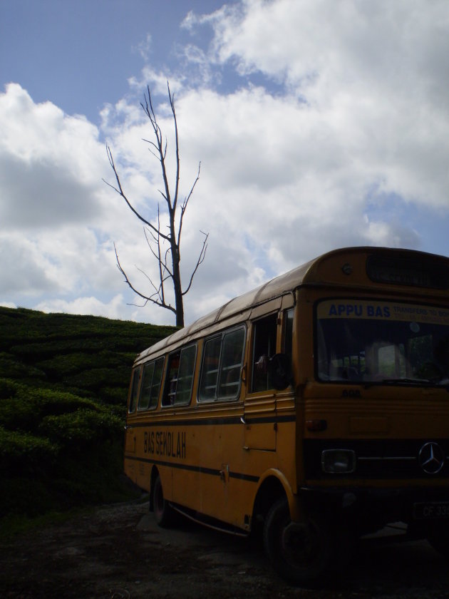 Lokale bus bij de Cameron Highlands