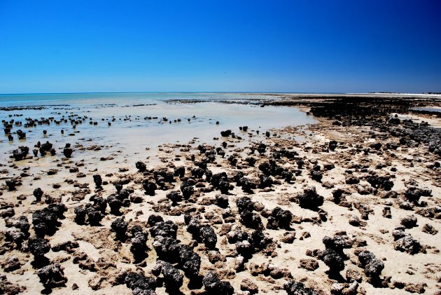 Stromatolieten!