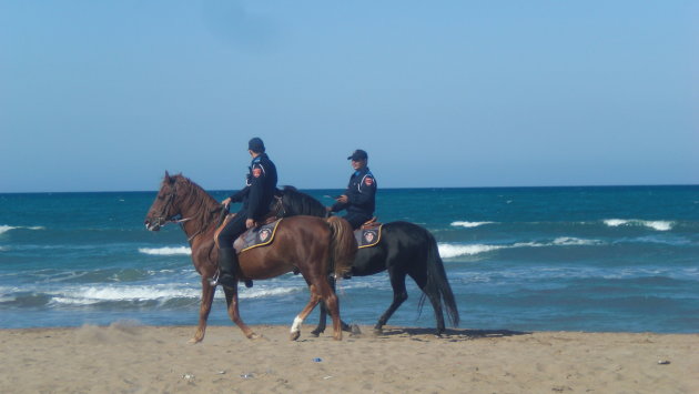 politie te paard op het strand
