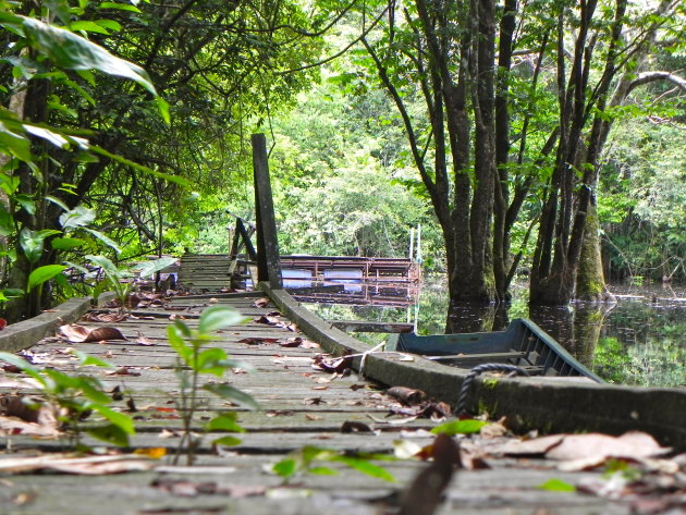 Verlaten Ranger Camp Pakuli Landing aan de Saramacca rivier in het natuurreservaat Boven Coesewijne.