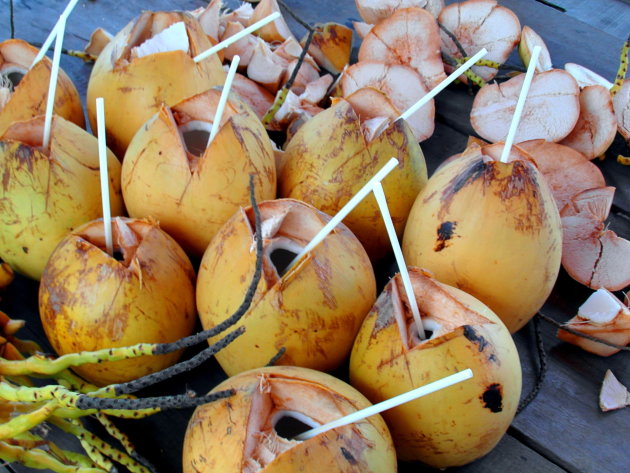 veelzijdige kokospalm! 