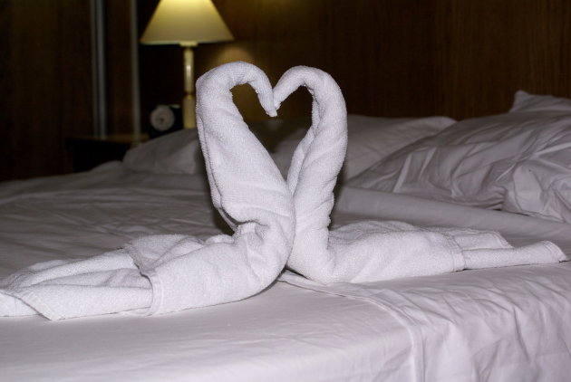 Love birds on the bed.
