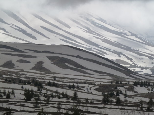 Sneeuw in Libanon!