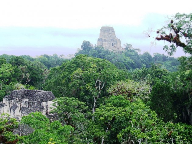 Mayabeschaving Tikal