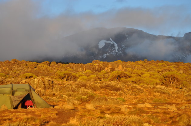 Zonsopgang Kilimanjaro 