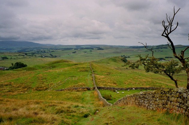 Hadrian's Wall Path 2