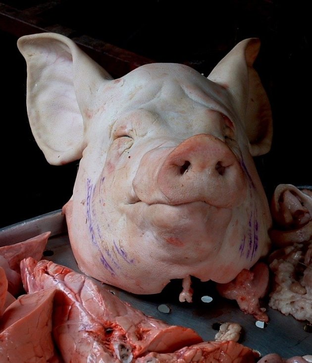 Dit varken is op een oor na gevild