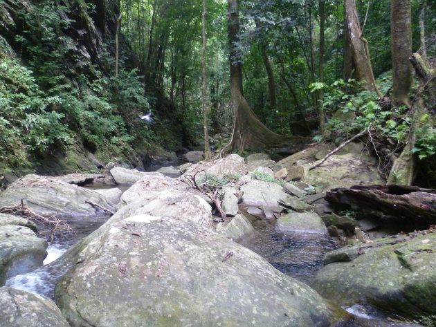 De jungle van Palawan  onderweg naar de verborgen waterval van Caramay
