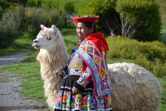 Lama met kleurrijk bazinnetje
