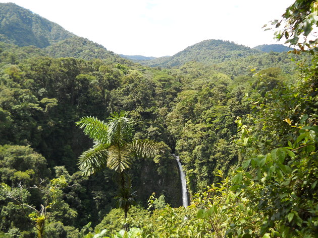 Uitzicht op jungle en waterval bij Arenal Volcano National Park 