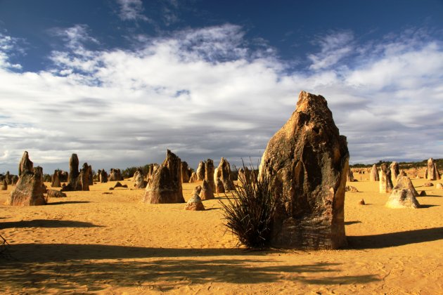 Pinnacles West Australia
