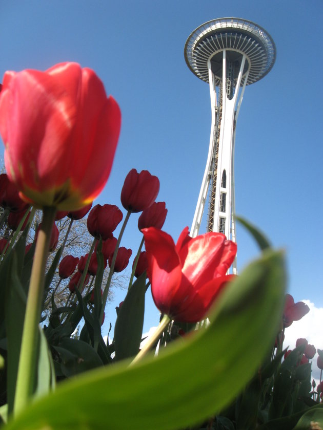 Tulpen en de Space Needle Seattle