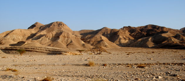 De Negev Woestijn.
