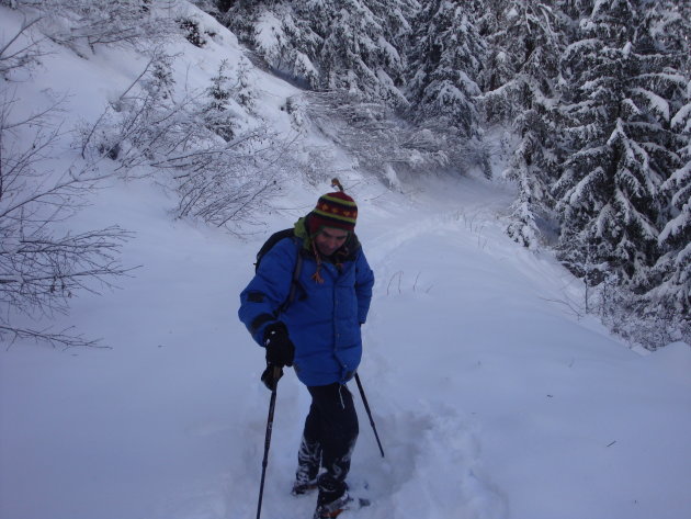 Winterse sferen: Sneeuwwandelen met gids in de bossen bij Les Arcs