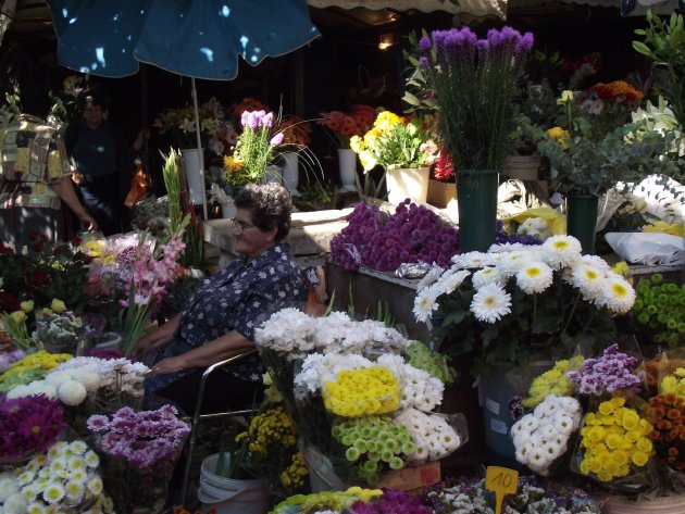 Bloemenkraampje op de markt in Split