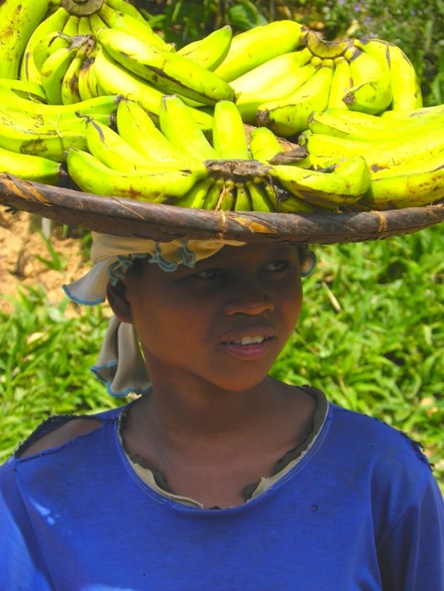 Bananen te koop